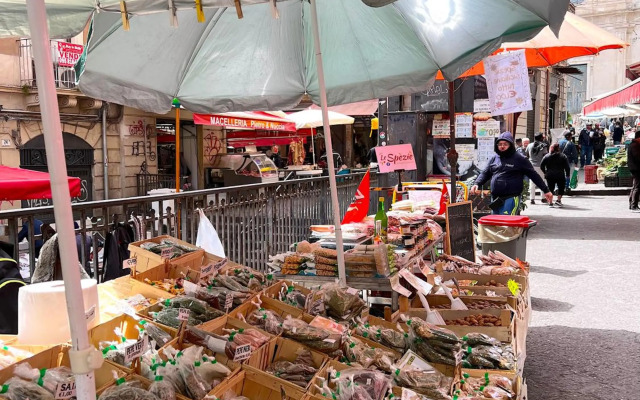 ERASMO 19 Luxury Home