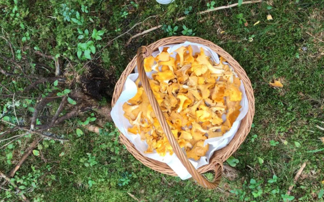 Aqua Reiki Ski Hotel Klippitz Nordost