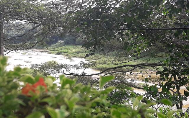 Riverine Cascade