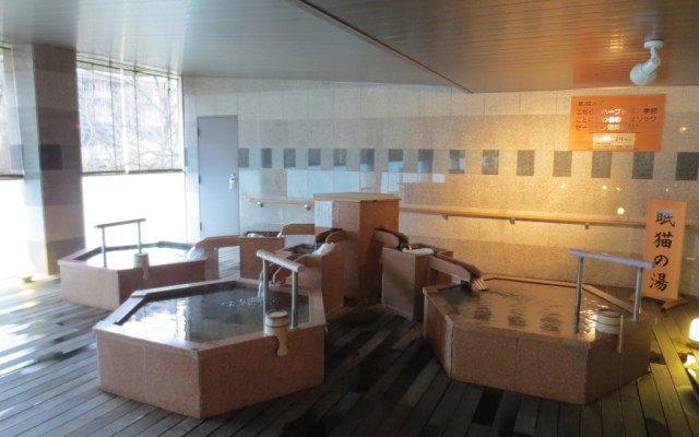 Ooedo Onsen Monogatari Premium Kinugawa Kanko Hotel