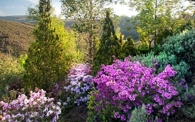 Birches Cottage