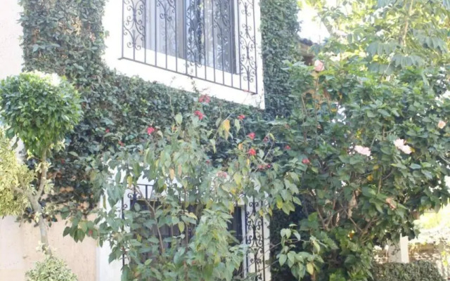 Bungalows San Felipe