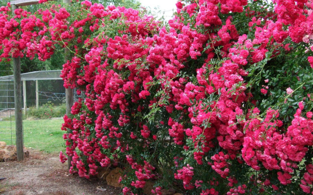 Mossbrook Country Estate Bed & Breakfast