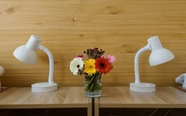 Мини-отель Пушкинская, 8