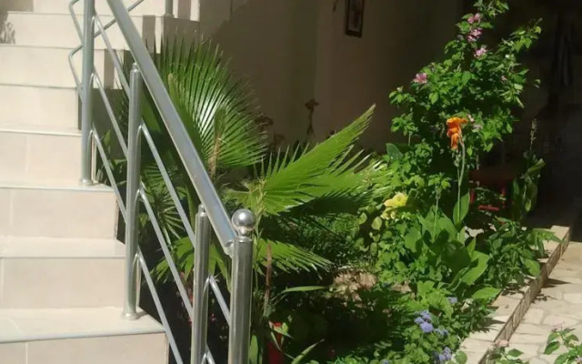 Apartments Radonjic