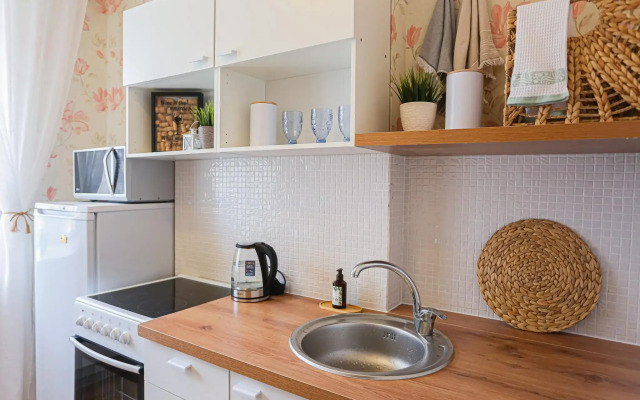 Apartments at Petrovna's on Moskovskoe highway