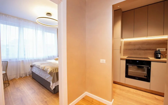 Sakura - One Bedroom Apartment - Next to Victoria Avenue and Cismigiu Park