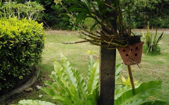 Khunyaikiew homestay