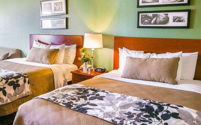 Sleep Inn & Suites Gonzales near Palmetto State Park