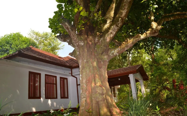Ivy Banks Anniewatte Guest House