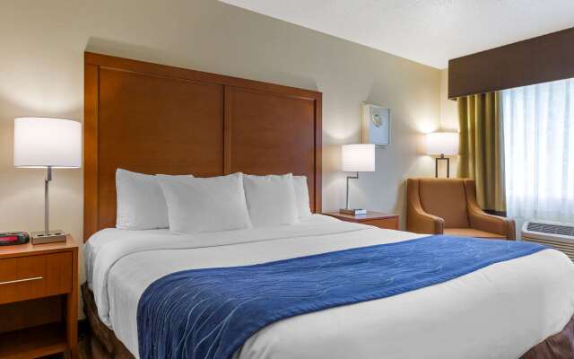 Comfort Inn South