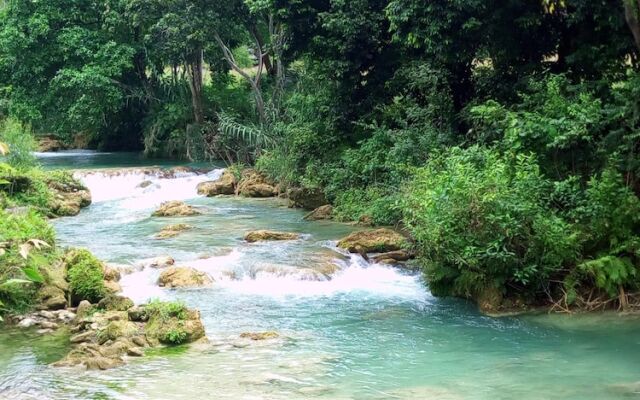 Room in Lodge - Sierraverde Cabin "cabaña el Cedro"