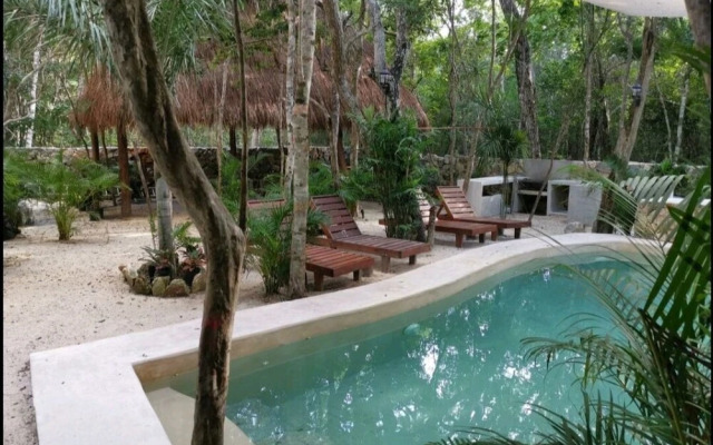 Jungle Penthouse