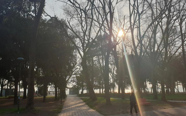 Biennale Flat In Giardini