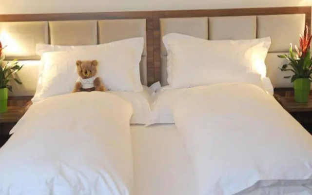 Falken Am Rotsee – Guest Rooms – Ebikon