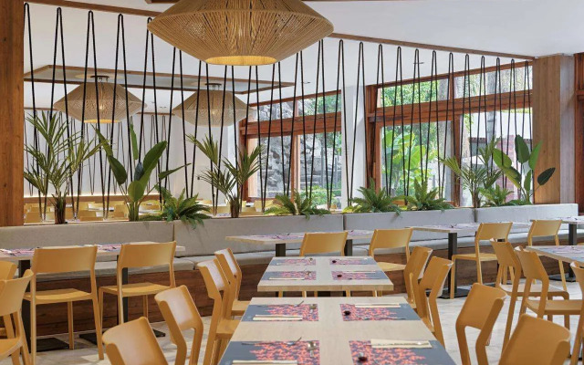 FERGUS Puerto de la Cruz