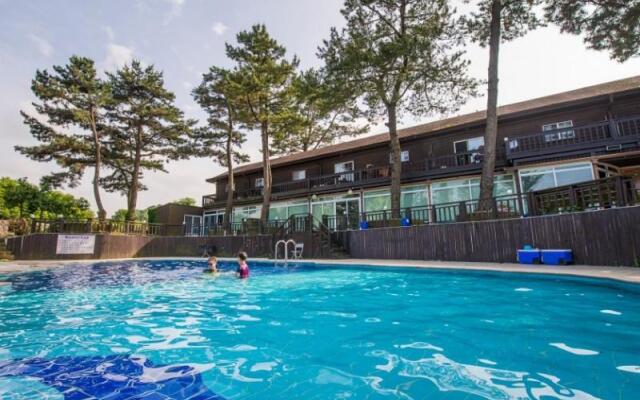 Jeju Solveige Pension