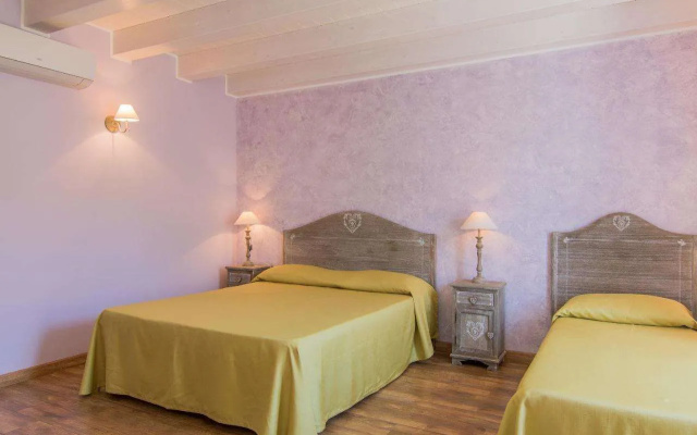 B&B Apollo