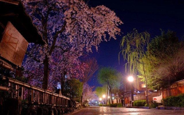 Tsumugi MatsubaraSakaimachi