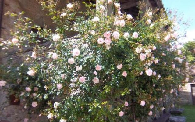 San Godenzo Casa Grande 2