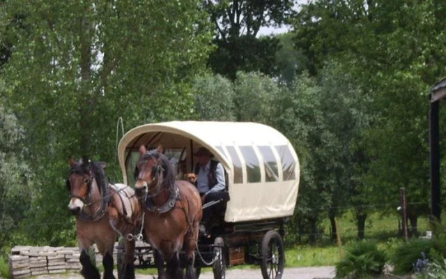 B&B In De Lossen Teugel