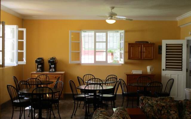 Harlem B & B