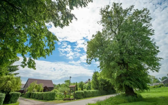 Agroturystyka Pod Lipą