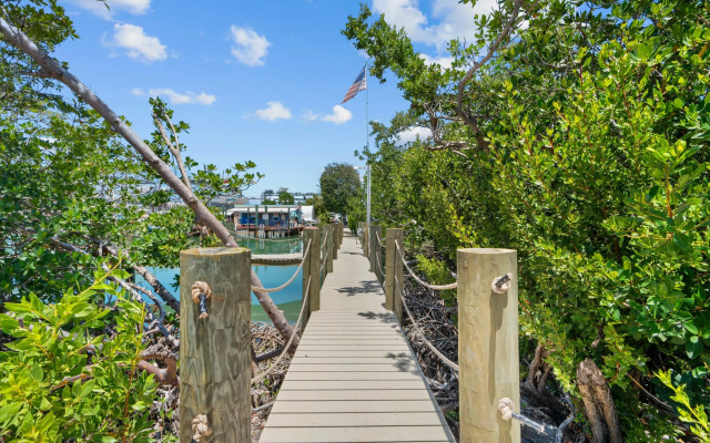 Paradise Point Pool Dock Lounges BBQ