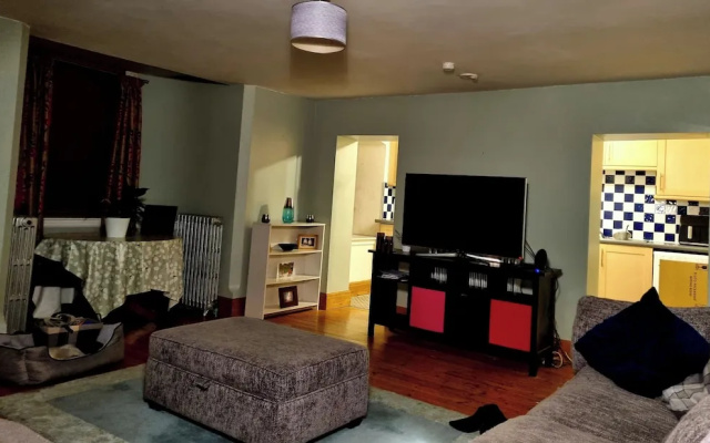 A Basement Apartment