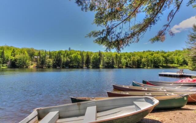 Le lapin des bois - Chalet  11   CITQ  234872