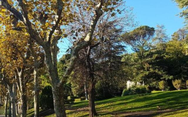 Apartment Maguejea, 13 Rue Paul Cere 4