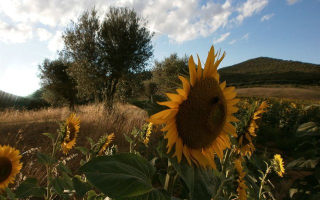 I Casali di Colle San Paolo