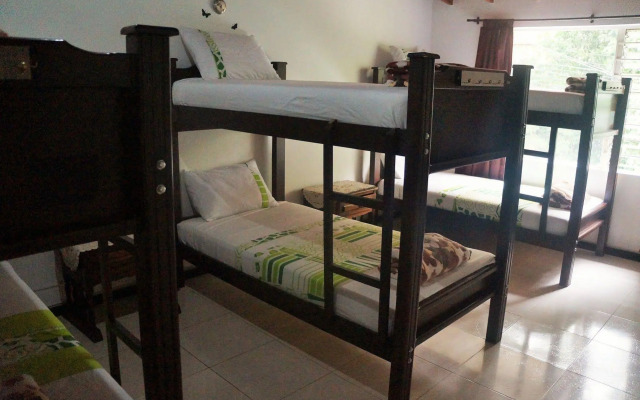 The Garden of Blues Hostel