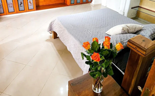 Luxury Villa In Provenza