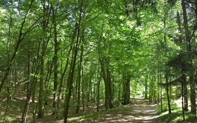 Ferienwohnungen Kampe