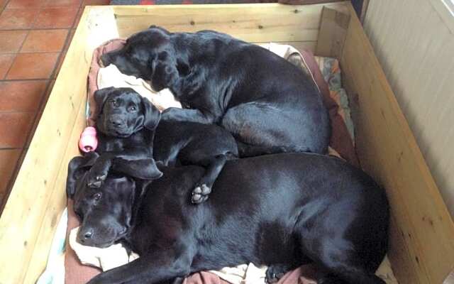 Hyacinth Bed & Breakfast