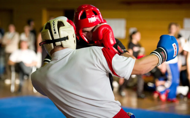 Hotel Top-Terme Topusko