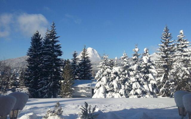 Waldhotel Seefeld