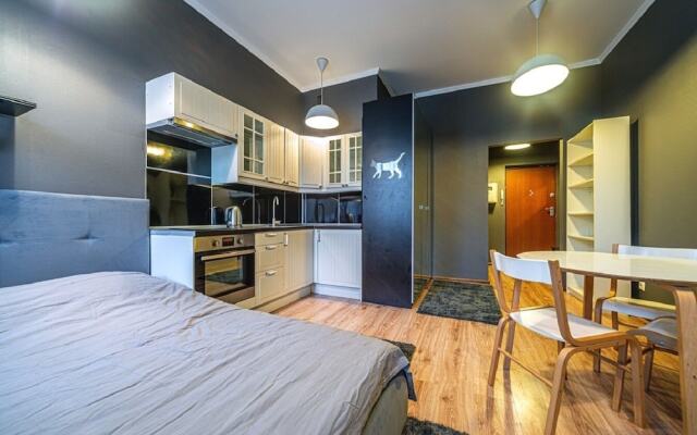 Апартаменты Loft Petrograd 2