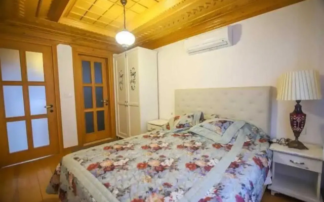 Villa Palm Tree