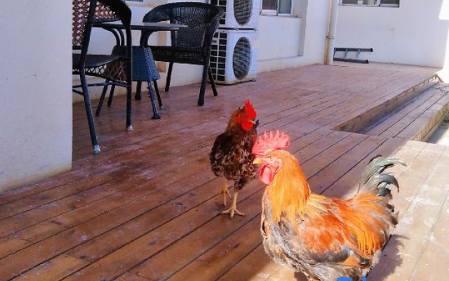 Qinhuangdao Shanhai Homestay