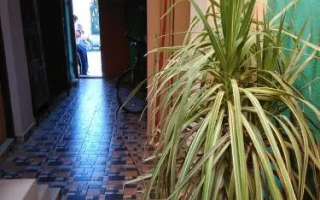 Villa Kalifie Homely Stay