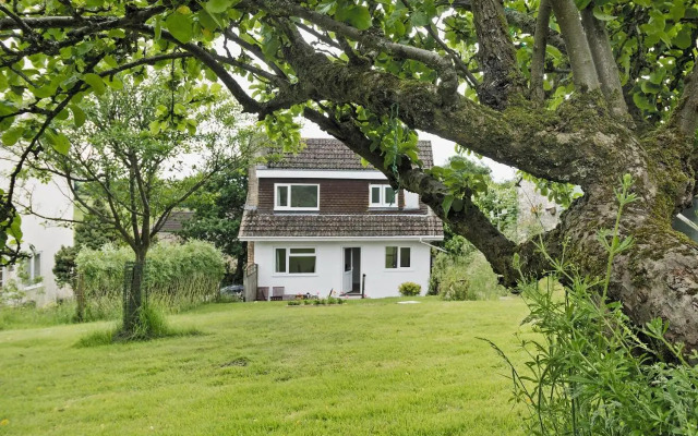 Little Orchard