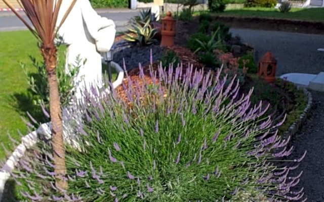 6bis Rue de la Boussaquiere St Broladre (Adults Only)