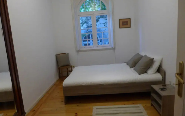 Carolina M Apartment