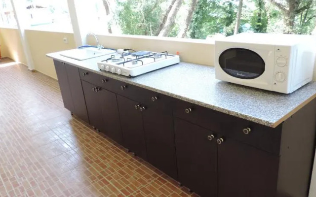 Guest house U Grishi