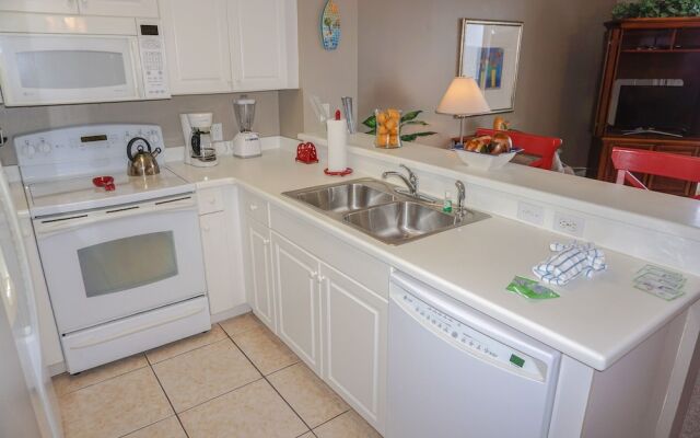 Celadon 304 - 1083843