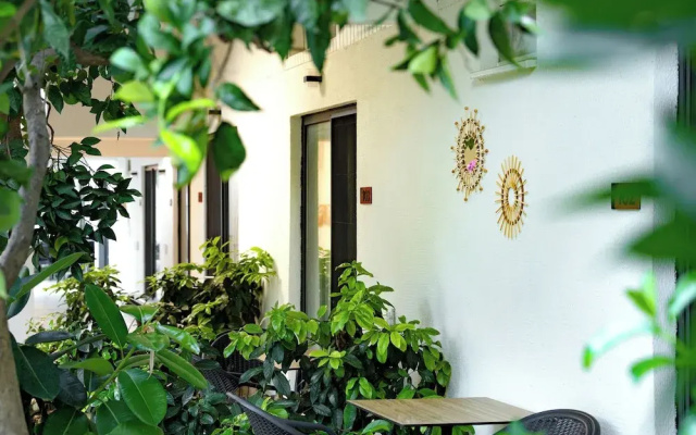 Perast Garden