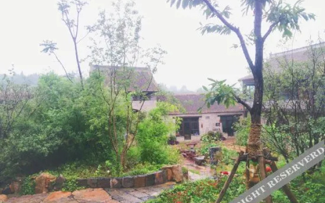The Yard On The Cloud
