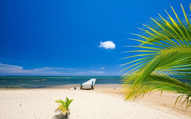 Sand Dollar